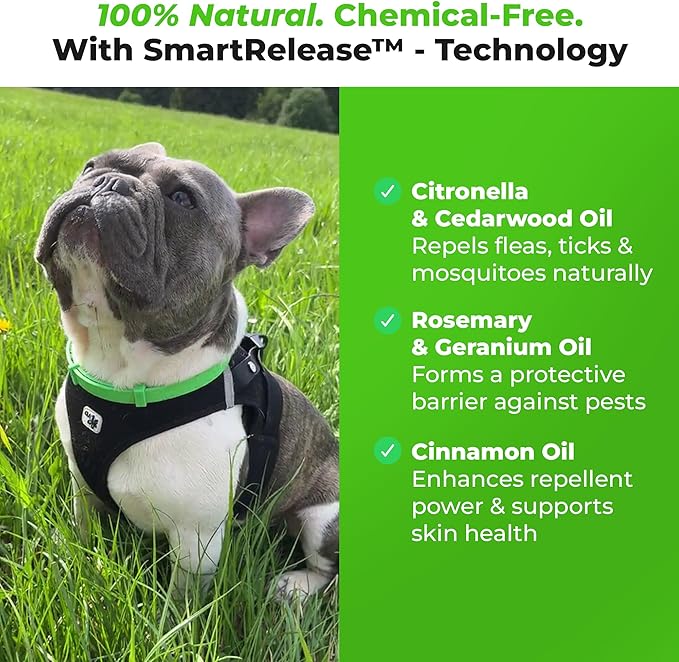 FurLife Flea and Tick Collar for Dogs – Waterproof Red Dog Collar, Pet Supplies for Tick and Flea Prevention for Dogs, Safe for All Breeds