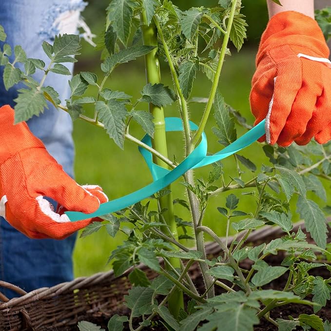 Coobbar Stretch Tie Tape, 0.5 Inch Wide Stretch Tie Tape Garden Tie Tape Thick Plant Ribbon Garden Green Vinyl Stake for Indoor Outdoor Patio Plant Use (600 Feet)