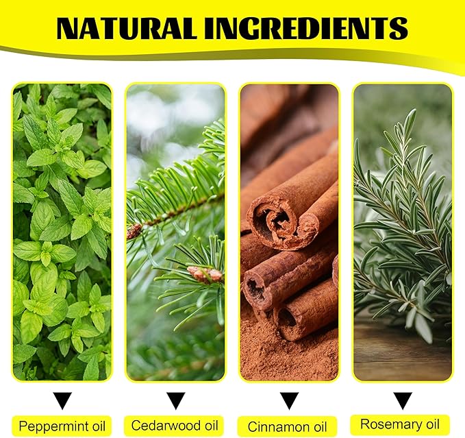 Upgrade Pest & Insect Control Spray,Silverfish Repellent Indoor & Outdoor, Spider & Ant Control for House, Peppermint & Cedar Oil Formula | Plant-Based, Pet-Safe Pest Defense