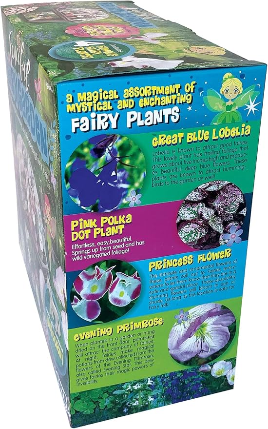 Toys by Nature Fanciful Fairy Biosphere Terrarium Starter Kit, Complete Supplies Included to Create Your Own Enchanting Garden and Indoor Plants! (Fanciful Fairy Garden)