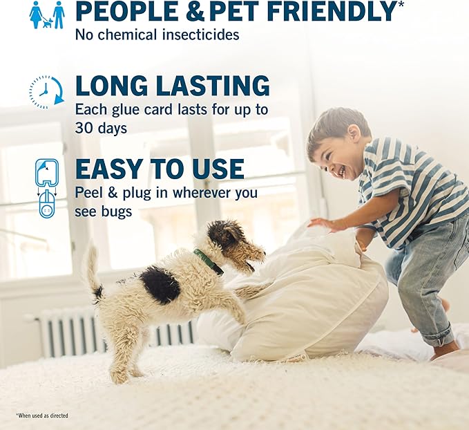 Safer Home SH512 Trap Refill Pack of Glue Cards for SH502 Indoor Fly Trap, 12 Count (Pack of 1)