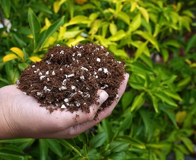 Happy Trees Coco Coir and Perlite Growing Medium, Potting Mix, Seed-Starting, Premium Quality Triple-Washed for Low Salt/EC, pH Balanced Loose Coconut Fiber, Peat-Free, 9 Quarts (10L)