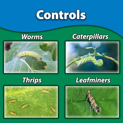 Monterey B.t. Bundled with Measuring Spoon - Biological Insecticide for Organic Gardening - 1 Gallon