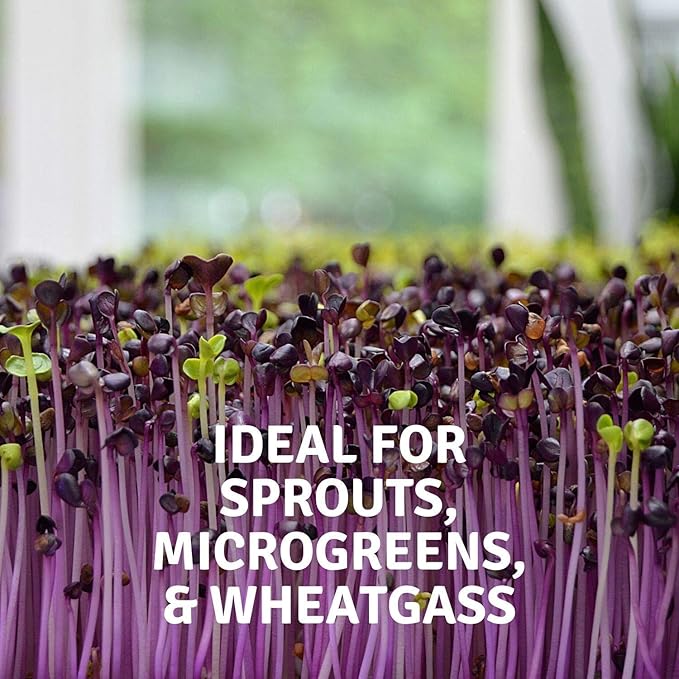 Micro-Mats Hydroponic Grow Pads - for Organic Production - 10 Pack - Plant & Seed Germination: Wheatgrass, Microgreens, More - for 20" x 10" Greenhouse Trays