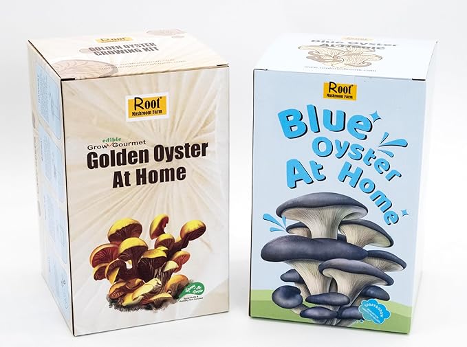 Two Mushroom Grow Kits, 3Lb Each (Blue Oyster & Golden Oyster)