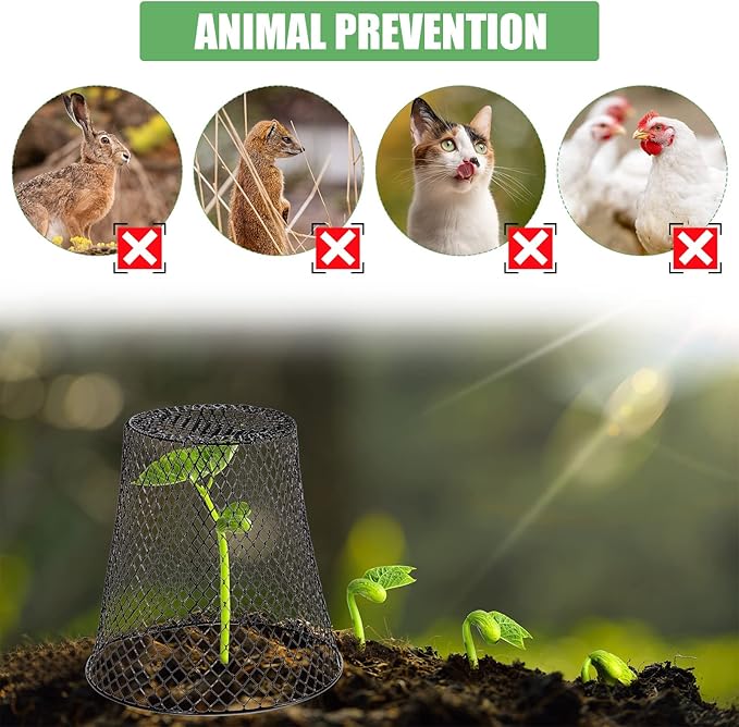 20 Pcs 9×9inch Chicken Wire Plant Covers Wire Garden Cloches Chicken Wire Cloche Plant Protector Metal Heavy Duty Garden Plant Cloche for Keeping Bunnies Chicken Squirrels Birds Other Out