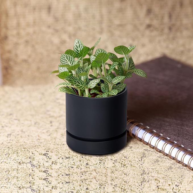 Phoenix Vine 4 Inch Planter Pot with Drainage Hole & Saucer, Deep Water Catch Tray, Straight Cylindrical Round Pot for Plants, Matte Black, Pack of 6, 23-C-R-6