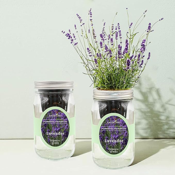 Hydroponic Herb Growing Kit, Self-Watering Mason Jar Herb Garden Starter Kit Indoor, Windowsill Herbs Garden, Grow Your Own Herbs from Organic Seeds (Lavender)