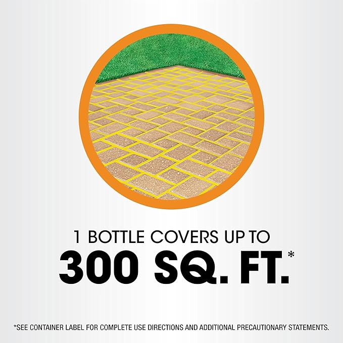 Roundup Poison Ivy Plus Tough Brush Killer₂ with Comfort Wand, Visible Results in Hours, 1 gal.