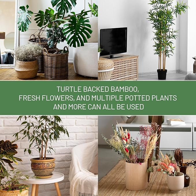 4PCS Iron Monstera Support, Uniquely Designed Plant Support Stakes for Indoor Plants, Stable Plant Stakes and Supports, Turtle Shell Bamboo Clamp Set for Thriving Growth