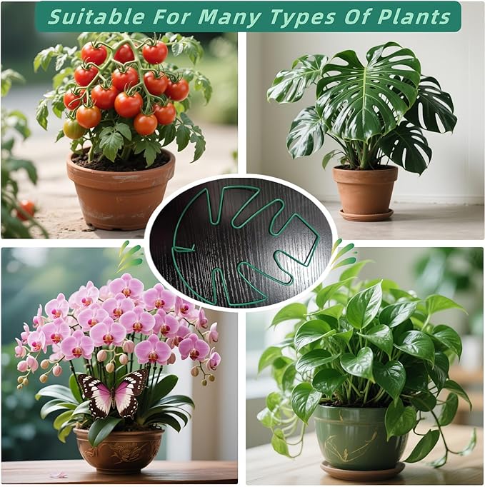 5Pcs Iron Monstera Plant Support, Uniquely Plant Holder Stakes for Indoor Plants, Turtle Shell Bamboo Clamp Set for Thriving Growth Monstera Plant Accessores (Green)