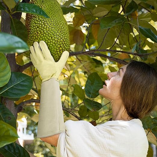 HLDD HANDLANDY Long Gardening Gloves for Women Ladies Protective Work Gloves Rose Pruning Garden Gloves for Yard & Outdoor Work, Light Yellow, L