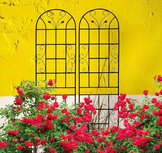 2 Pack Metal Garden Trellis 86.7" Tall Outdoor Climbing Plant Support for Roses, Flowers, Rustproof Durable Black Galvanized Tube, Lawn Garden Fence Decor Screen (2, Black curves-86.7" H)