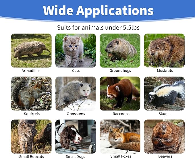 24” Humane Animal Trap Live Animal Trap Cage for Squirrels Small Stray Cats Rabbits Groundhogs Moles Gophers and Chipmunks up to 5.5 lbs Galvanized Rustproof Live Animal Cage Trap