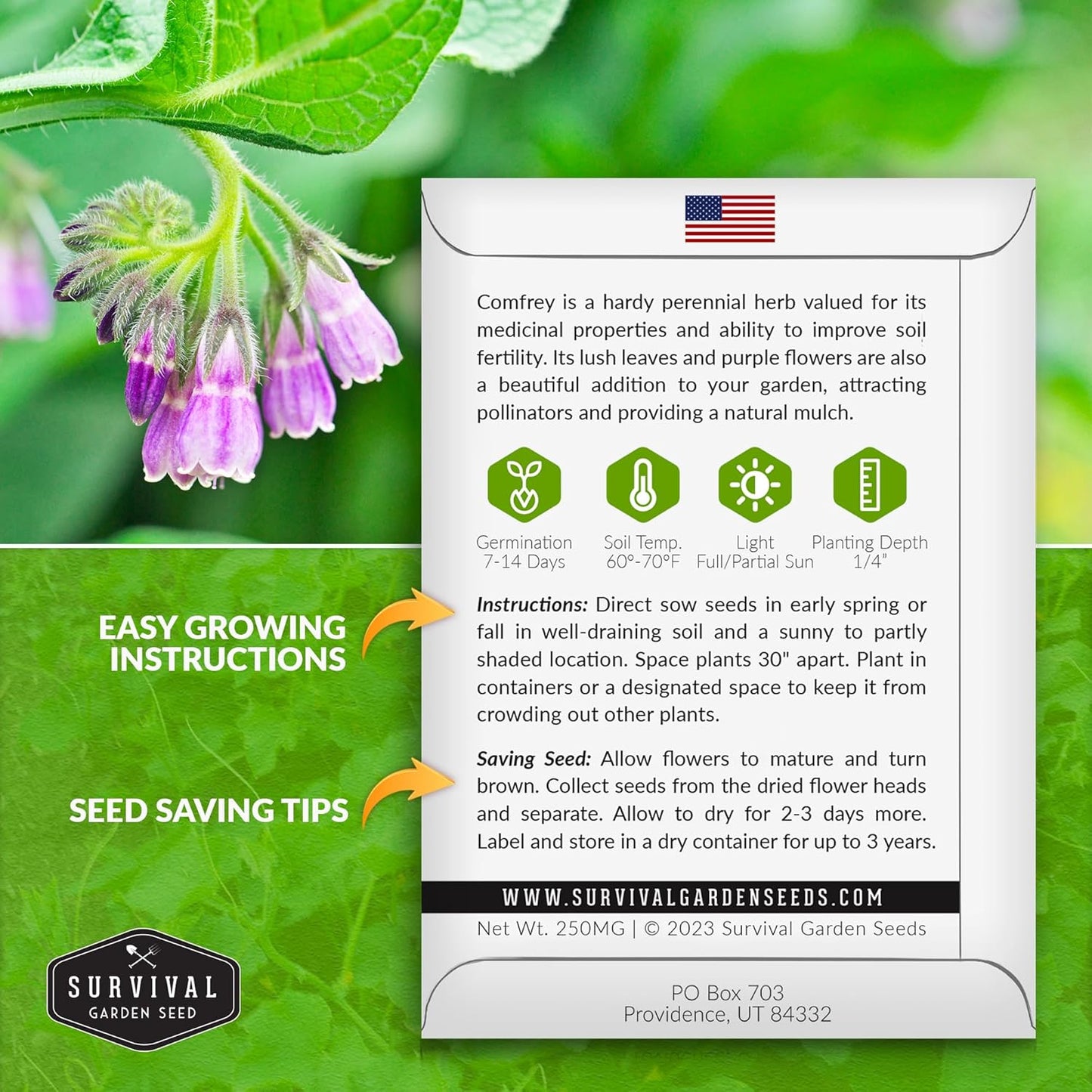 Survival Garden Seeds Comfrey Seed for Planting - 3 Packets with Instructions to Plant and Grow Slippery Root Plants in Your Home Herb Garden - Symphytum officinale - Non-GMO Heirloom Seed Variety
