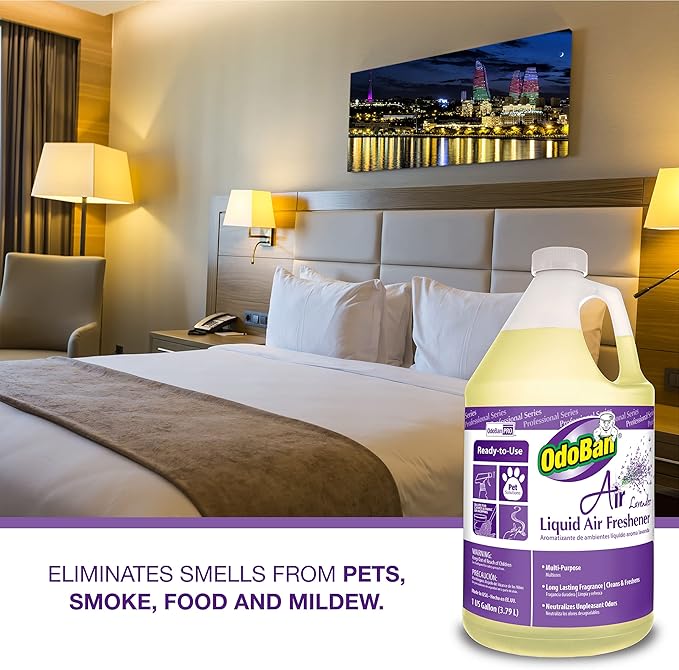 OdoBan Fogmaster Jr. Electric Handheld Fogger and Liquid Air Freshener, 1 Gallon, Lavender Scent