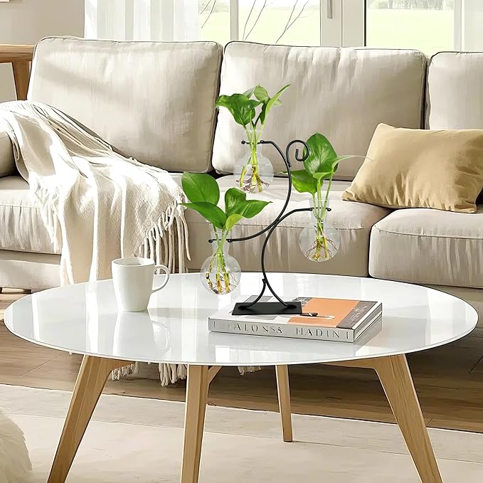 2025 New Desktop Plant Propagation Stations, Plant Terrarium with Metal Stand, 3 Bulb Glass Propagation Vases for Hydroponic Plants, Home Office Decor Planter Gardening Gifts for Women