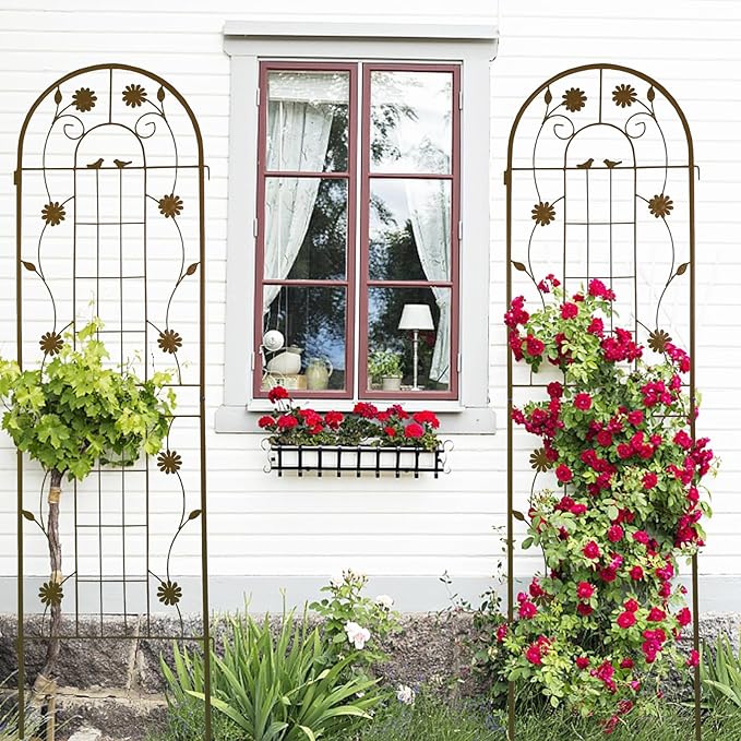 2 Pack Metal Garden Trellis for Climbing Plant Rose Stand, Brown Outdoor 71'' Tall Flower Support Iron Garden Fence (Brown 71''H