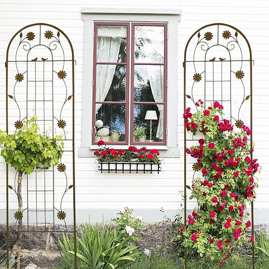 2 Pack Metal Garden Trellis for Climbing Plant Rose Stand, Brown Outdoor 71'' Tall Flower Support Iron Garden Fence (Brown 71''H