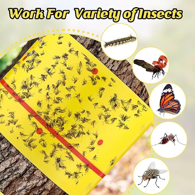 Qualirey 6 Rolls Spotted Lantern Fly Traps 30 Feet Each Roll Fly Tree Trap Sticky Strips Outdoor Fruit Glue Strips Disposable Tape Indoor Paper Sheets for Protecting Trees (Yellow)