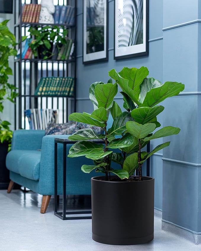 D'vine Dev 12 Inch Plastic Planter Pots for Plant Pot with Drainage Hole and Seamless Saucers, Black Color, 74-X-B-3