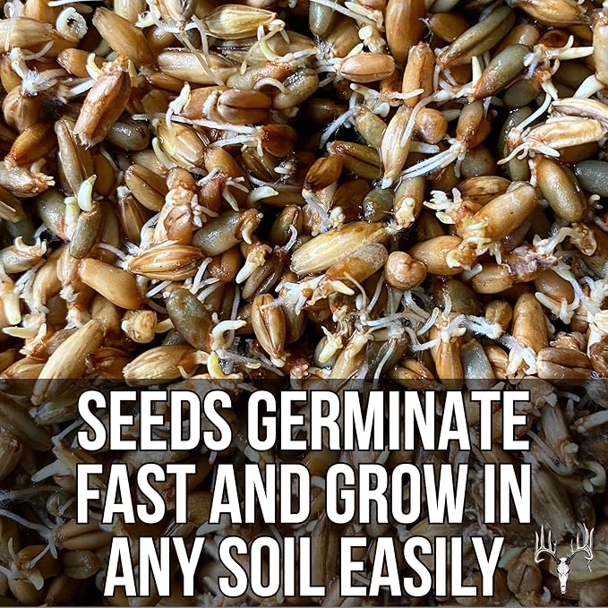 Last Resort, 25LB Bulk Size, Food Plot Seed for Deer, Mix of Cereal Grain Rye, Wheat, Triticale, Barley, & Oats, Pheasant, Turkey, Dove, Wildlife & Whitetail Hunting Foodplots & Pasture