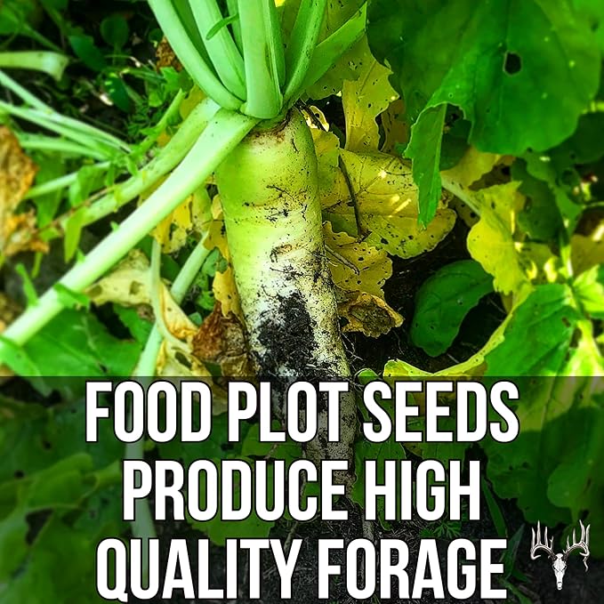 Branson’s Buffalo Blend, 12LB EcoPack, Whitetail Food Plot Seed for Deer, Turkey, Pheasant, Dove, Elk & Duck, Plant Seeds Grow Forage to Feed & Attract Wildlife to Hunting Plots, No Till