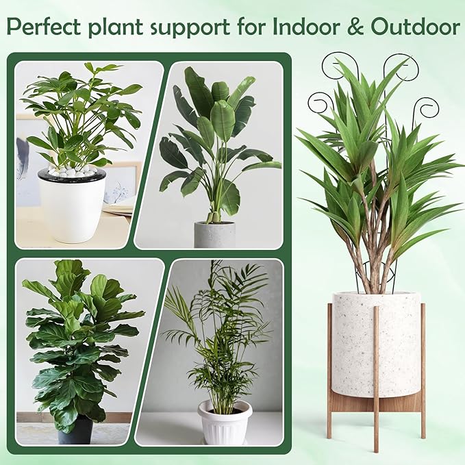 4 Pack Metal Trellis for Climbing Potted Plants Indoor Outdoor - 30 Inch Rustproof Garden Stakes, Plant Support for Monstera Pothos Ivy Hoya Vines, Potted Houseplant (4pack)