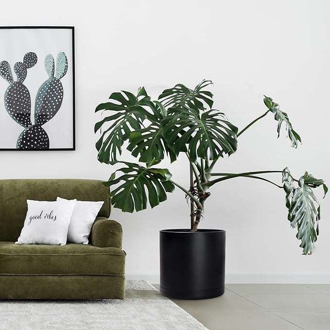 D'vine Dev 16 Inch Black Plastic Planter Pots for Plant Pot with Drainage Hole and Seamless Saucers, 74-X-B-5