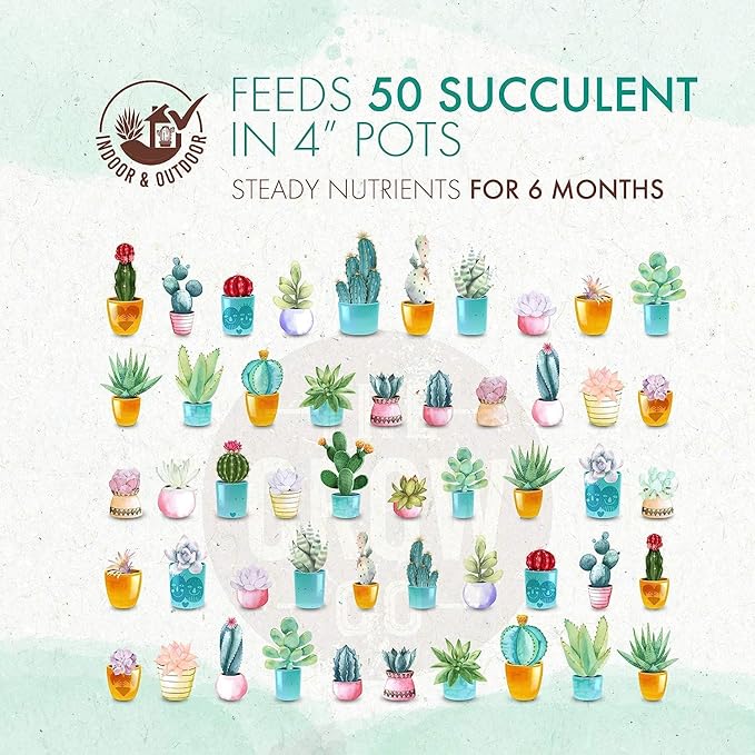 Succulents & Cactus Plant Food - Gentle Long Lasting Formula, Slow Release Fertilizer (Liquid Alternative) for All Potted Succulent, Cacti & Aloe Vera Plants (5 oz)