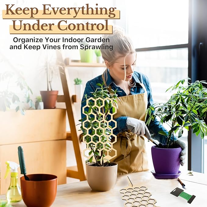 Wood Trellis for Climbing Plants Indoor & Outdoor - 2 Pack 18" Modern Honeycomb Small Plant Trellis - Stabilizing Plant Support for Indoor Plants - Small Trellis for Potted Plants to Encourage Growth