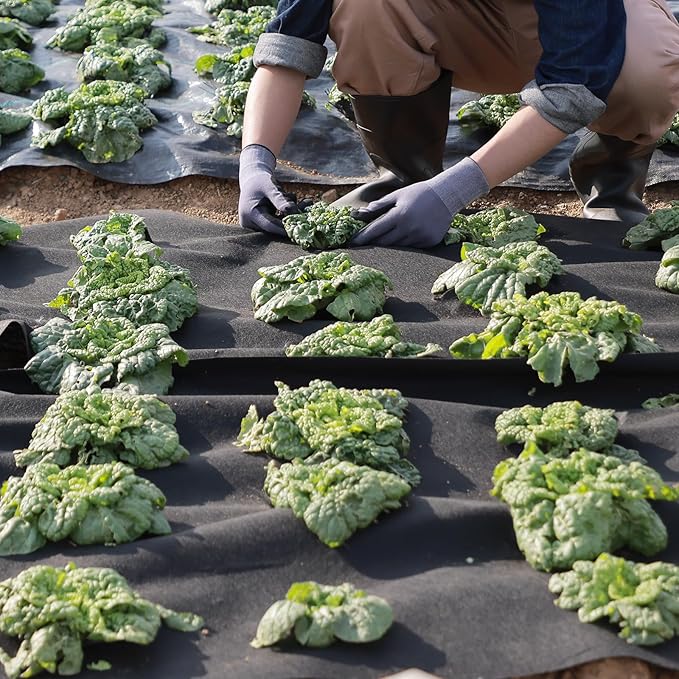 VEVOR Geotextile Landscape, 10ft x 100ft 8 oz Non-Woven PP Drainage 350N Tensile Strength & 440 N Load Capacity, for Ground Cover, Garden Fabric, French Drains, Black