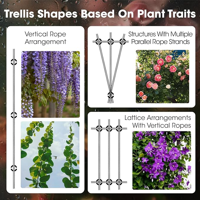 20 Sets Cylindrical Hubs Wall Trellis Kits, Wire Trellis for Climbing Plants Outdoor with 98Ft x 1/8" T316 Stainless Steel Rope, Garden Wire Trellis System for Espalier & Vertical Gardening