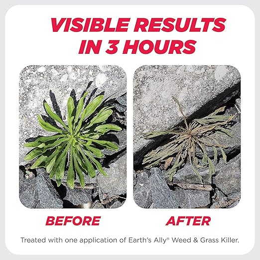 Earth's Ally Weed and Grass Killer Spray | Ready-to-Use | Natural Non-Selective Herbicide | Environmentally Safe Weed Killer | Pet Safe | Bee Safe (32 fl. oz. Ready-to-Use)