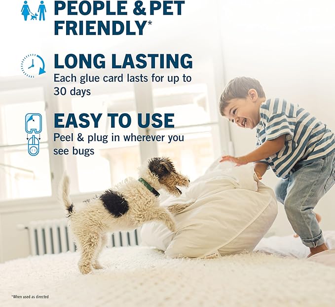 Safer Home Indoor Plug-in Fly Trap - SH502-2SR - Effective Fruit Fly Traps for Indoors, Gnat Traps for House Indoor, 800 Total Sq Ft Protection - 2 Devices + 2 Glue Cards