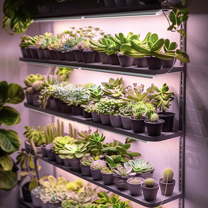 Barrina LED Grow Lights, Full Spectrum, 180W(6 x 30W, 1000W Equivalent), 3ft Grow Light Strips, T8 Grow Light Bulbs, Plant Lights for Indoor Plants, Greenhouse, Pinkish White, Linkable Design, 6-Pack