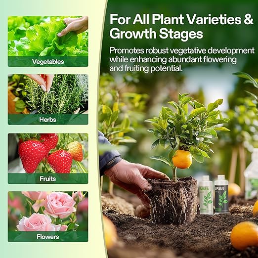 VIVOSUN Liquid Nutrients Base A & B Bundle, Grow Big Hydroponic Fertilizer, Supports Vegetative and Flowering Stages for Outdoor, Indoor Plants, Best Plant Food, Set of 8oz
