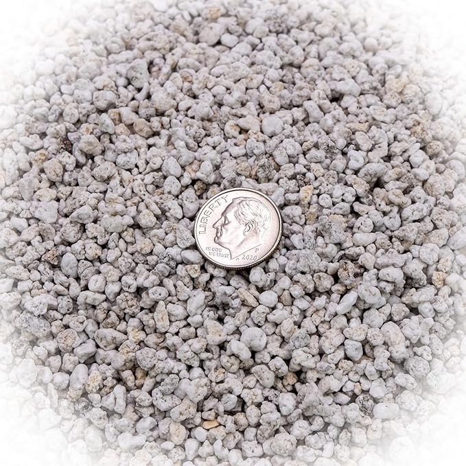 Organic Perlite — Medium/Fine Grade Horticultural Soil Amendment for Indoor & Outdoor Container Plants for Drainage Management and Enhanced Growth (2 Quart)