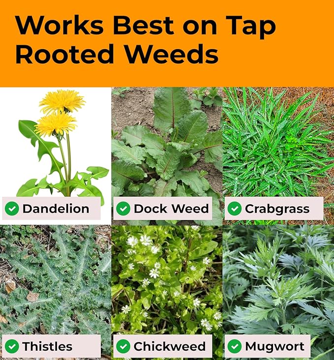 Stand Up Weed Puller Tool with Long Handle - Dandelion Weeding Tool, No More Bending