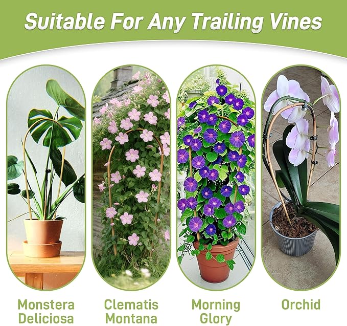 Avalution 16" Natural Bamboo Plants Trellis U-Hoop,Bamboo Gaeden Trellis U-Shape for Climbing Plant Support-10PCS