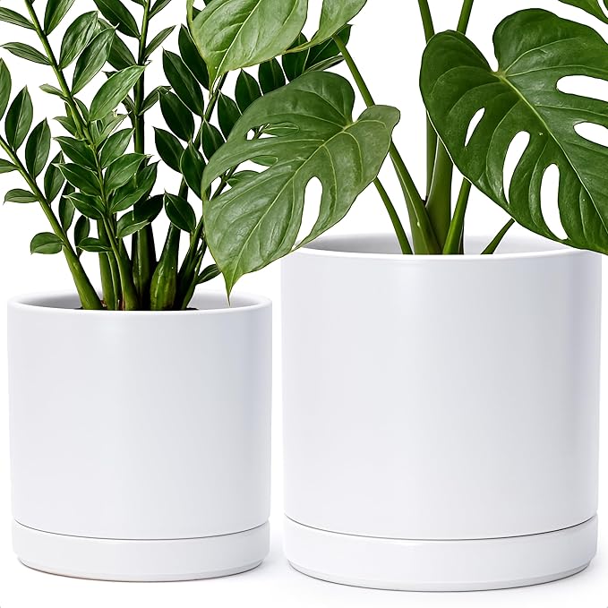 D'vine Dev 8.2 Inch & 10 Inch Ceramic Planter Pot for Plants with Drainage Hole and Saucer, Large Plant Pots Set, White, 94-G-L-1