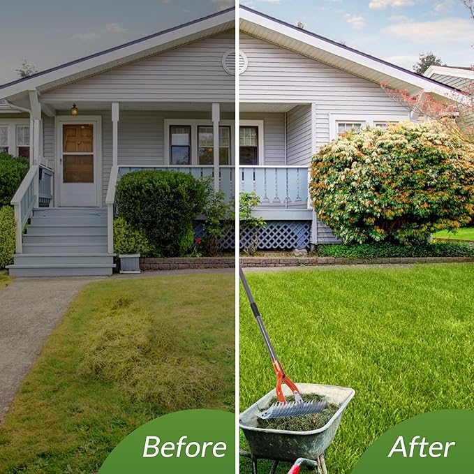 Walensee Thatch Rake, 15-Inch Lawn Thatching Rake, Robust Dethatcher Rake, Efficient Steel Metal Rake with Handle, Versatile Grass Grooming Rake for Cleaning Dead Grass, Yard Garden Durable Soil Rake