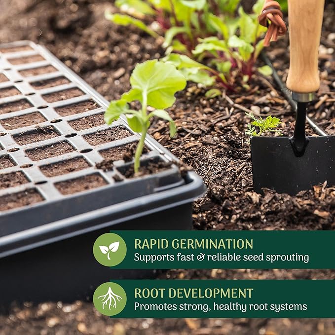 50-Pack Seed Starter Plug for Seedlings and Cuttings, Growth Sponge for Fast Germination and Strong Roots with Soil or Hydroponic Applications