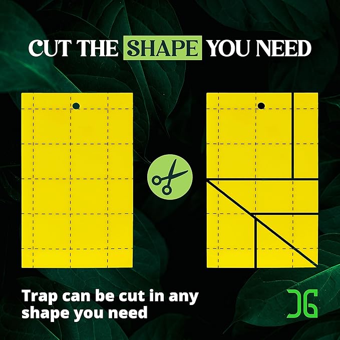 Catchmaster GRO Yellow Regular Double Sided Sticky Traps 36PK, Adhesive Bug & Fruit Fly Trap, Pest Control for Home, Farm, Garden, Hydroponics & Greenhouse, Protect Live Plants Indoor & Outdoor