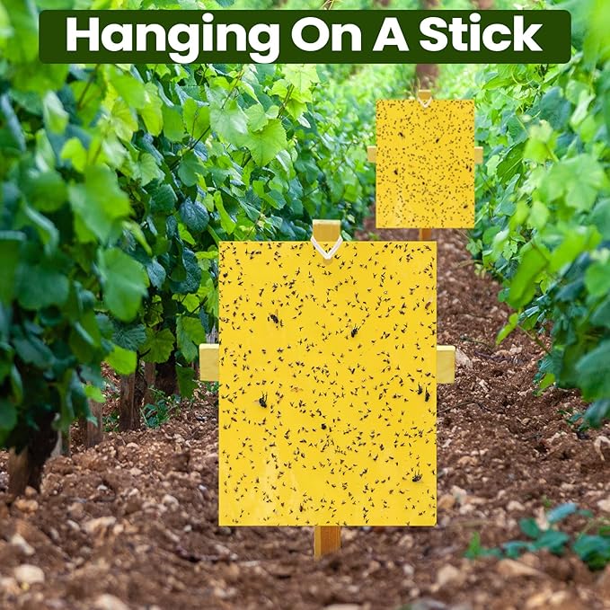 Qualirey 100 Pcs 6 x 8 Inch Sticky Traps for Plant Double Sided Sticky Trap for Gnats with Twist Ties Fly Traps for Fruit Insect Fungus Bugs Indoor Outdoor (Yellow)