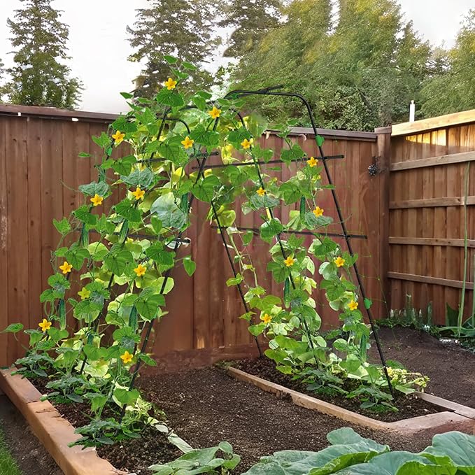 Garden Arch Trellis for Climbing Plants Vegetable Outdoor 67" x 63" A-Frame Cucumber Trellis with Climbing Netting & Plant Clip Tomato/Pea/Zucchini/Squash Trellis for Raised Garden Bed