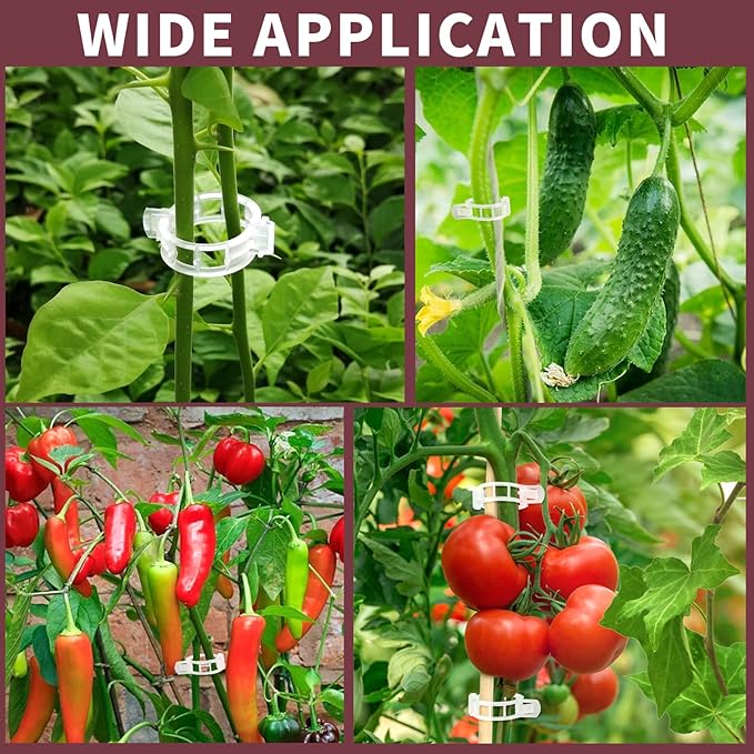FANDAMEI 300 PCS Plant Support Clips, Plastic Garden Plant Ties, Tomato Clips Trellis for Tomato Cucumber Flower Squash Vine, 1” Inner Diameter for Climbing Plants