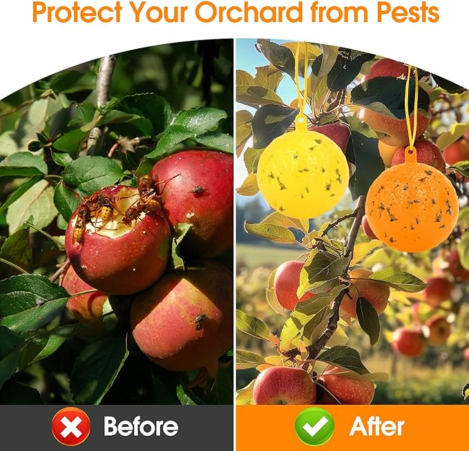 Original Fruit Fly Trap Ball, 12pcs Hanging Fungus Gnat Killer Catcher, Adhesive Sticky Glue Catching Ball Fly Gnat Wasp Hornet Mosquito Bugs Flying Insects Trap Ball for Indoor Outdoor Plant