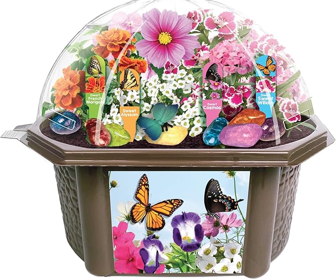 Toys by Nature Biosphere Terrarium Starter Kit, Complete Supplies Included to Grow Your Own Enchanting Garden and Indoor Plants! (Bountiful Butterfly Garden)