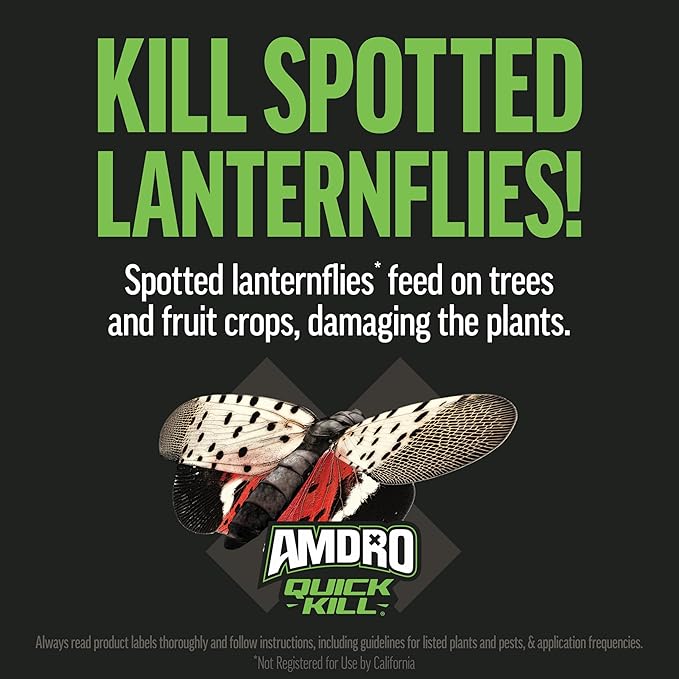 Amdro 100550457 Quick Kill Outdoor Insect Killer, 32 oz